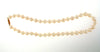 14K Yellow Gold, Pearl Strand Necklace